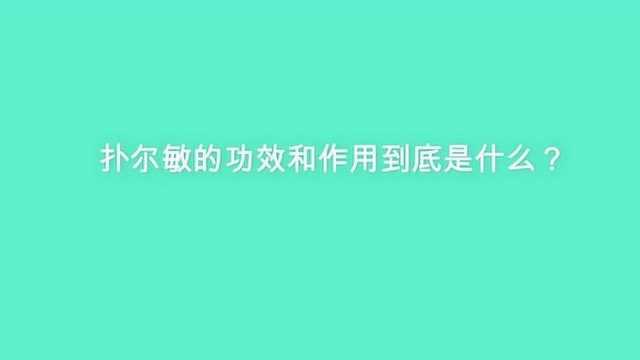 扑尔敏的功效和作用到底是什么?