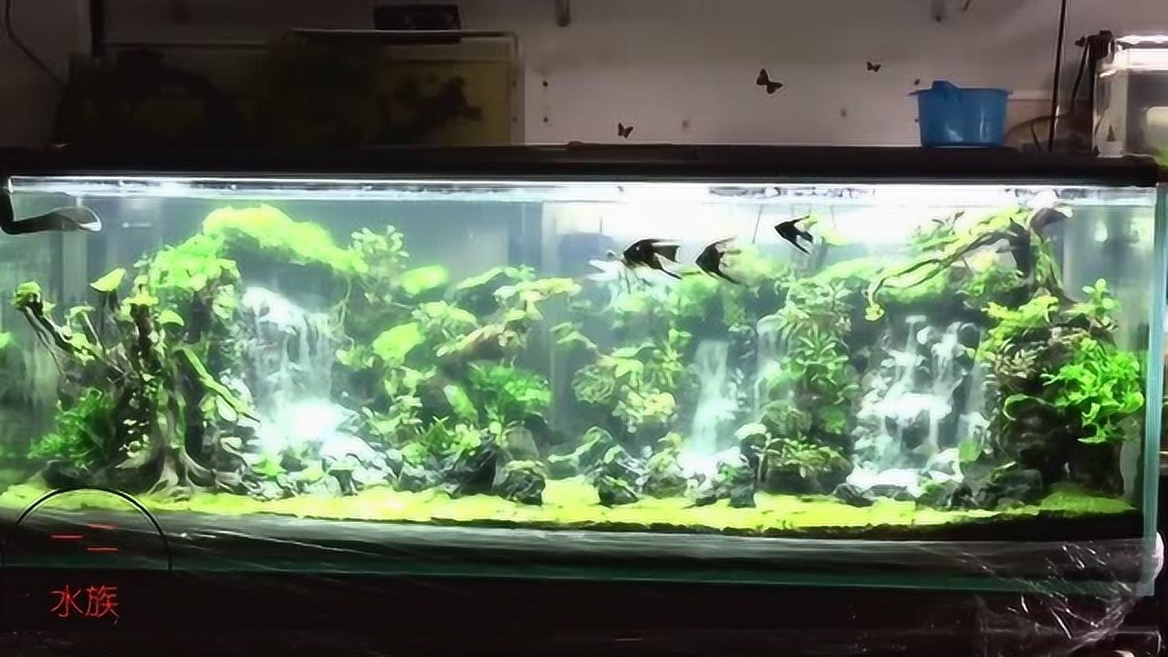 越南草缸造景,魚缸3個流沙瀑布,1.5米魚缸,做出大山的氣勢