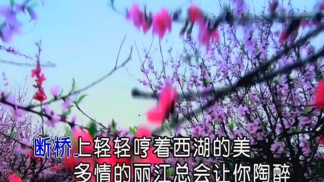 彭美琪中国美 红日蓝月KTV推介