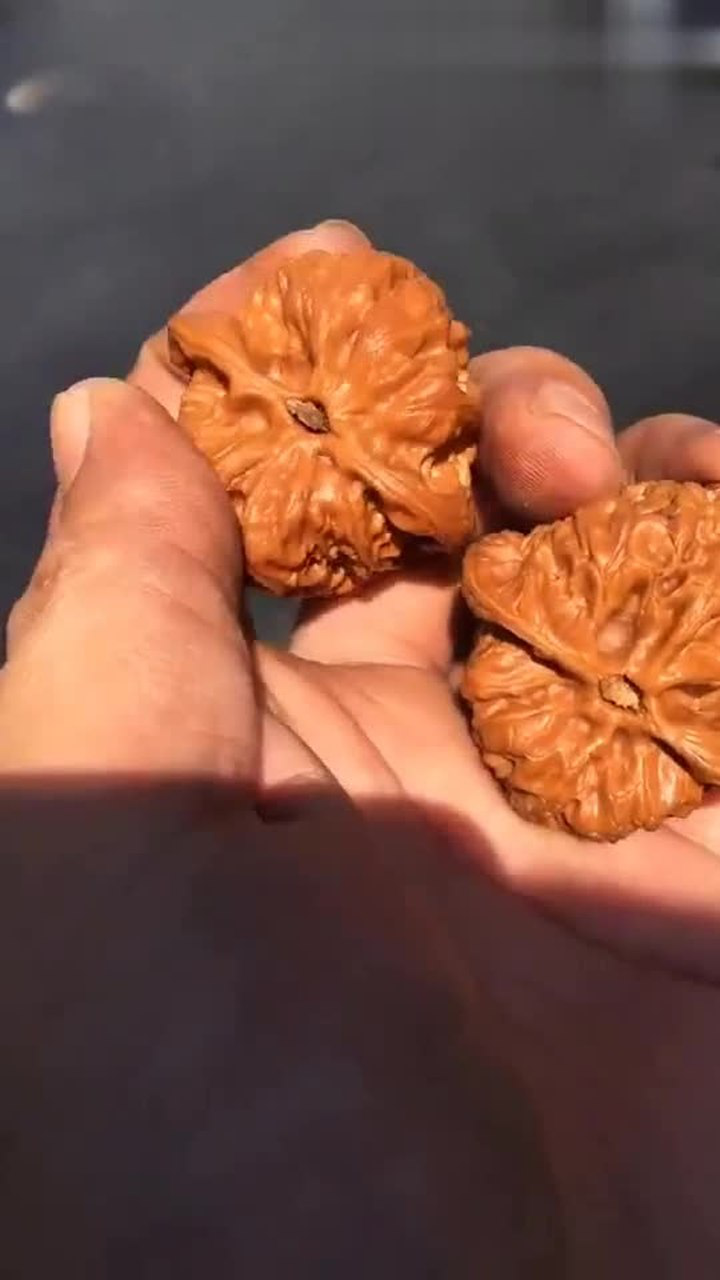 金蟾王核桃,看阳光下效果,皮质很靠谱,纹路超级棒