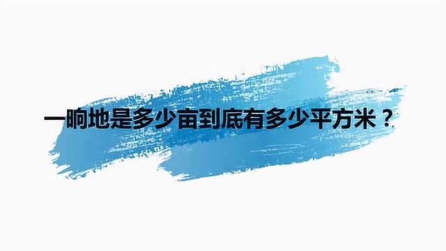 一晌地是多少亩到底有多少平方米?