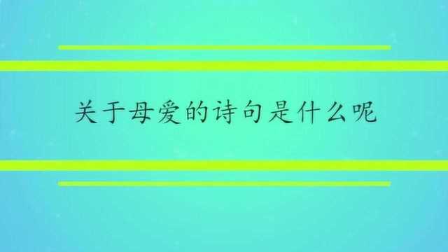 关于母爱的诗句是什么呢