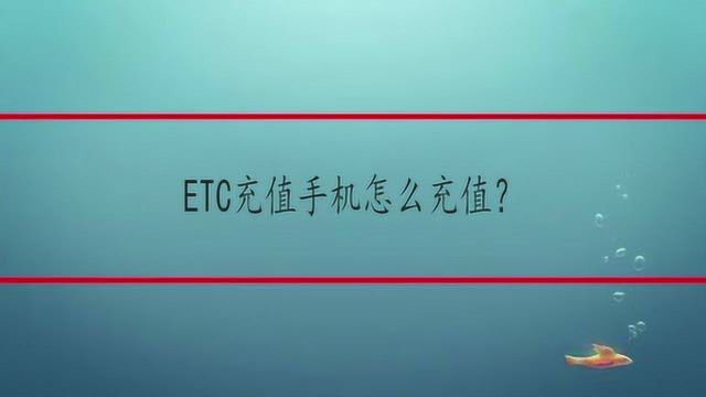 ETC充值手机怎么充值?