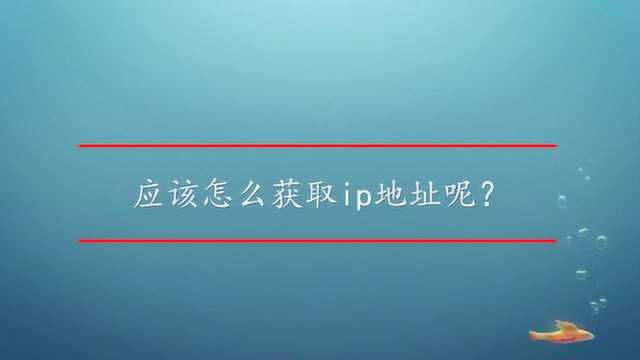 应该怎么获取ip地址呢?