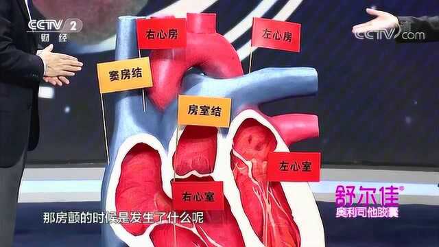 窦房结有什么作用?专家:心脏电路图分析出发生房颤的原因