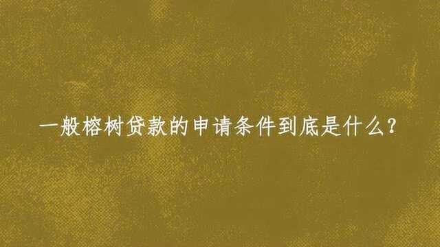 一般榕树贷款的申请条件到底是什么?