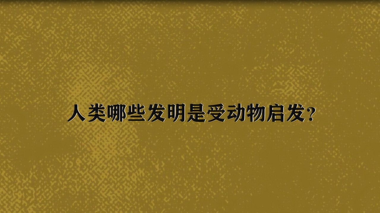 生活中还有哪些发明是受到了动物的启发(在生活中还有哪些发明是受到了动物的启发)