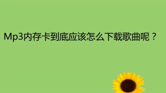 Mp3内存卡到底应该怎么下载歌曲呢?