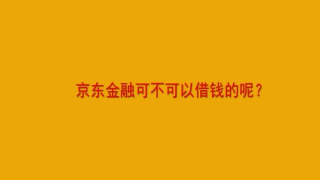 京东金融可不可以借钱的呢?