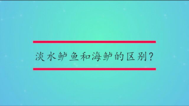 淡水鲈鱼和海鲈的区别?