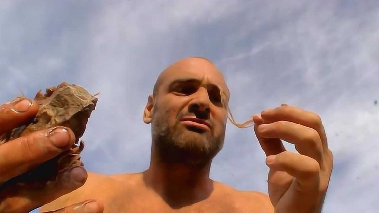 荒野生存德爷捕获野生刺猬一只下场惨不忍睹吃起来人间极品