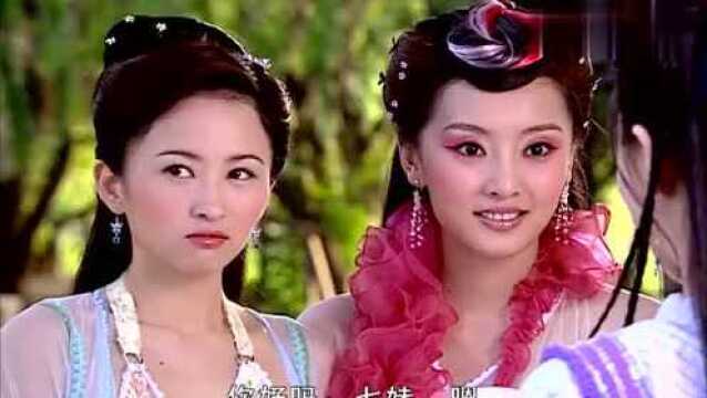 《欢天喜地七仙女》鱼日见到仙女表情这么逗