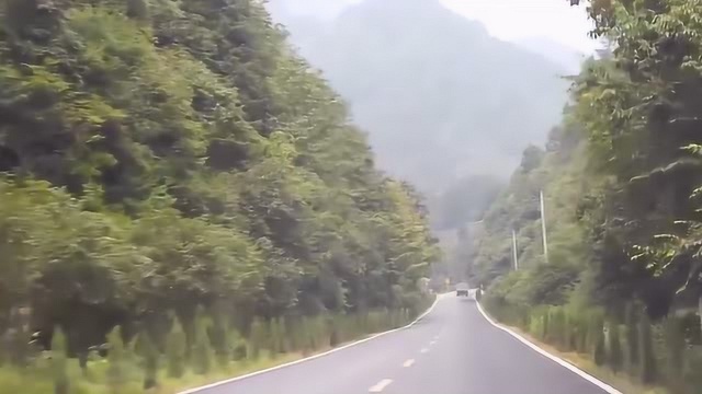 中国农村沿路风景,一眼望去两旁都是山林,全是绿色