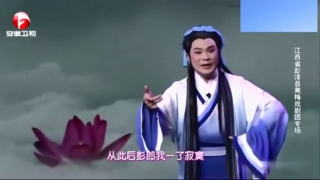 黄梅戏《小姑与彭郎》选段,玉石还魂