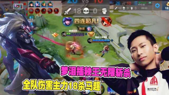 王者荣耀:梦泪插秧王无限斩杀,全队伤害主力18杀马超!