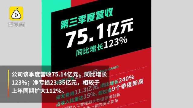 拼多多CEO黄峥谈品牌竞争:就像飞流下山,有石头有弯路