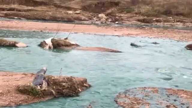 甘肃天水一段河水呈墨绿色 当地:企业废水直排所致