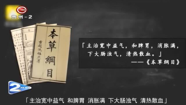 豆腐虽然好吃,你知道它是怎么来的吗?这个视频全是知识点!