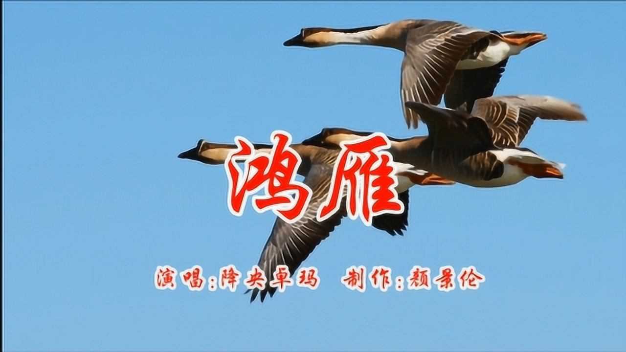 降央卓玛鸿雁蒙古歌曲天籁之音好听极啦