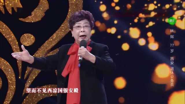 77岁西安退休公务员林辉演唱秦腔《赶坡》选段,胜过专业演员!