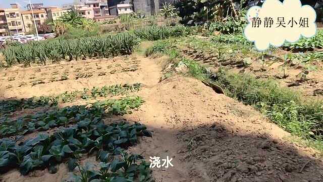 现在全国哪里不干旱啊广东11月份31度,比夏天还燥热