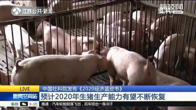 中国社科院发布《2020经济蓝皮书》 预计生猪生产能力有望不断恢复