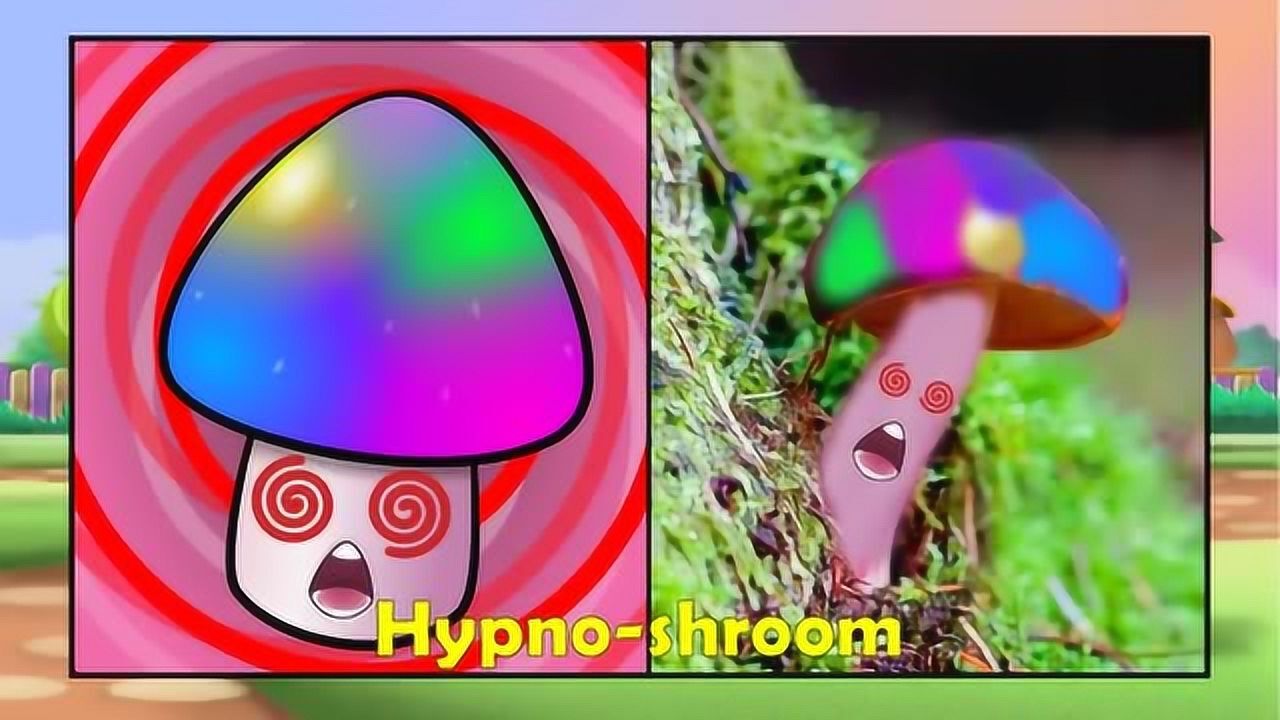 植物大战僵尸:魅惑菇在现实中是什么样子呢_腾讯视频