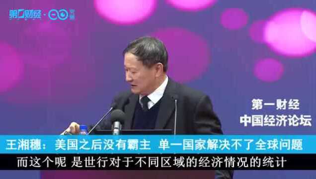 王湘穗:美国之后没有霸主 单一国家解决不了全球问题