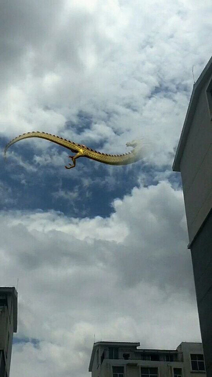 龙天呢居然拍到龙了