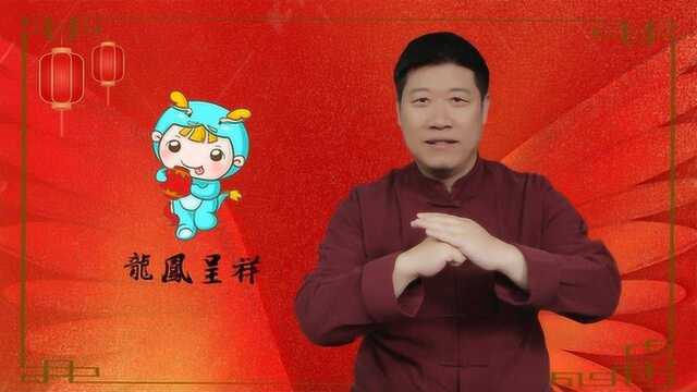 滴天揭秘鼠年运势:生肖龙稳步发展,不要心急