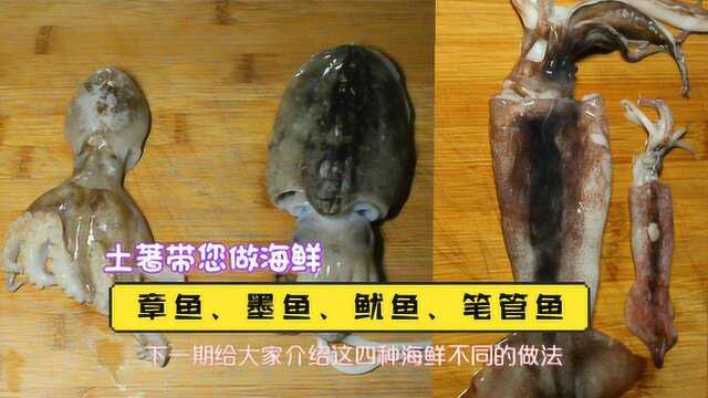 章鱼、墨鱼、鱿鱼、笔管鱼的区分,海鲜的详解,各种海鲜制作