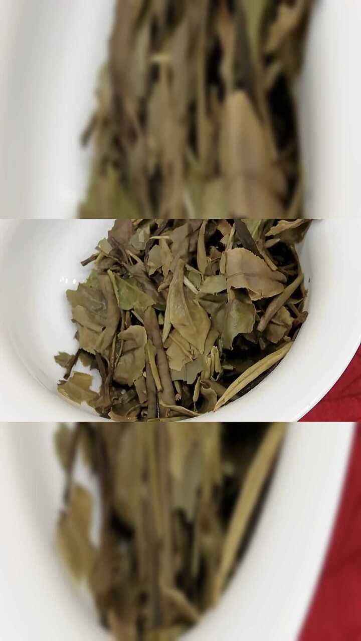 知秋茶韵