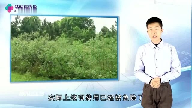 农村这3项费用已全部免费,农民别再傻傻交钱,村干部来收就举报