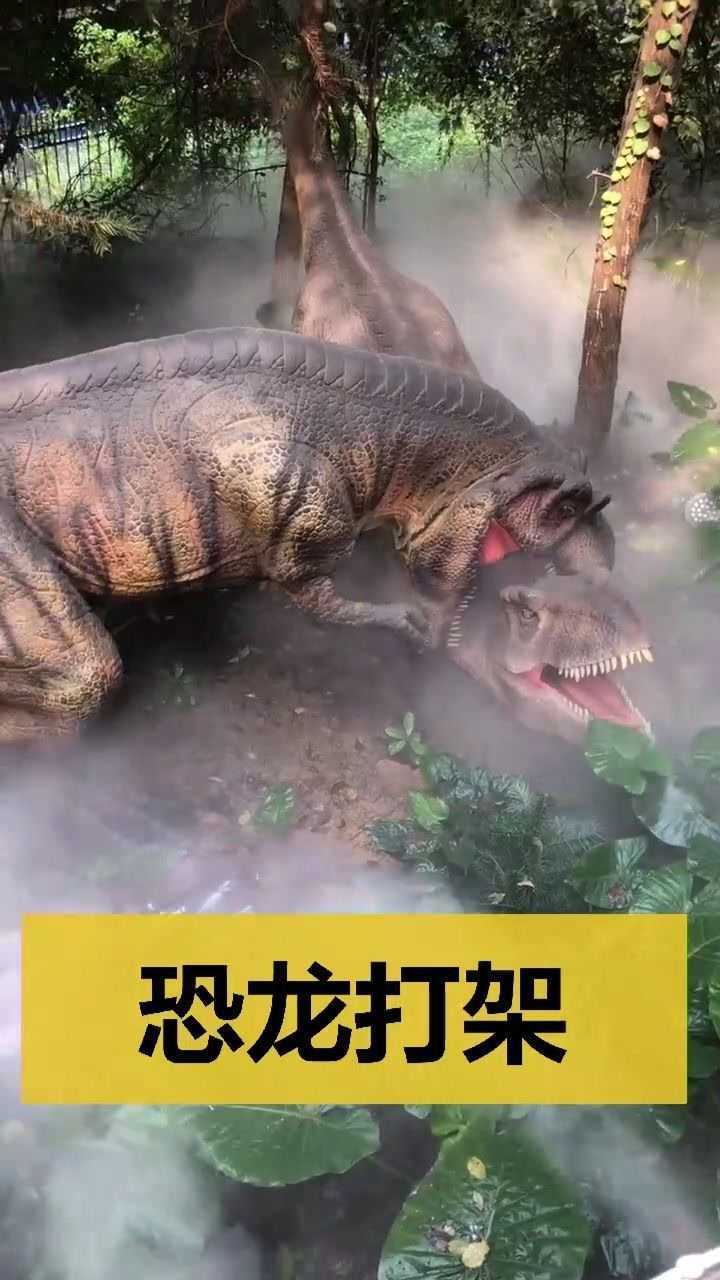 恐龙打架和真的似的真霸气