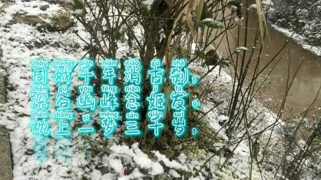 清露古诗词:周深名字的诗,枕上一梦三千岁,翠峰青岭已流沙!