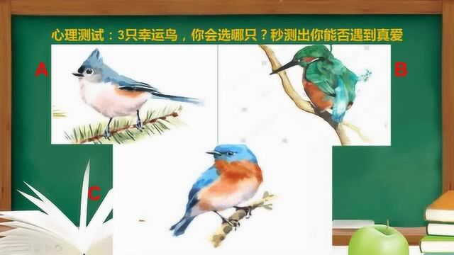 心理测试:3只幸运鸟,你会选哪只?秒测出你能否遇到真爱