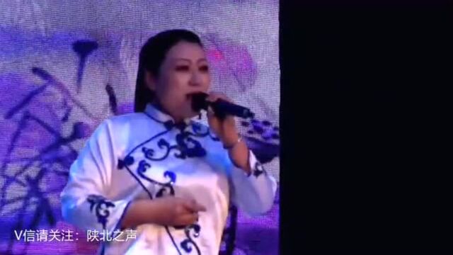 榆林小曲《九连环》咱陕北老百姓都爱听得小曲