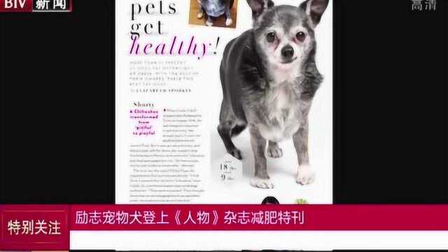 励志宠物犬登上《人物》杂志减肥特刊