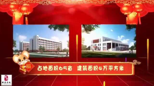 睢县清华园学校2020年新春拜年视频