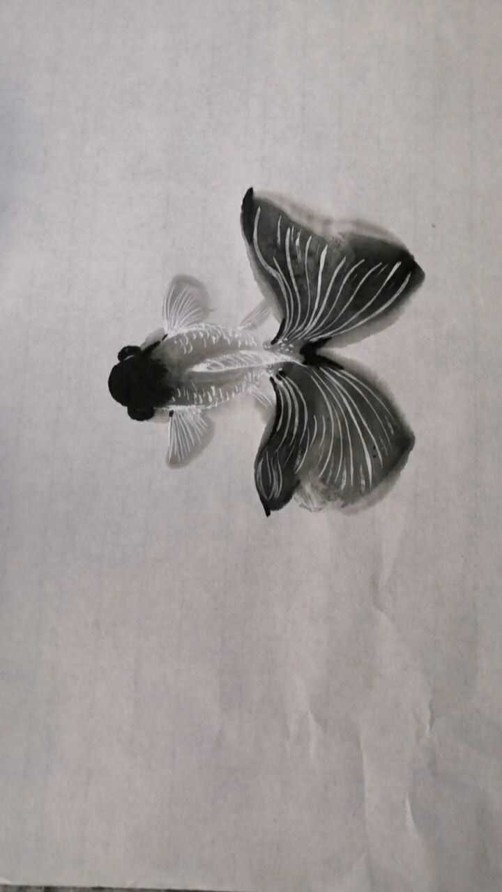 用毛笔画鱼简直可以以假乱真真是民间高手