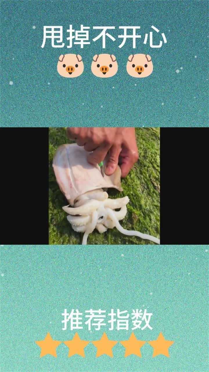 解剖大墨鱼取出墨囊里边全是墨汁小伙子胆子真够大的