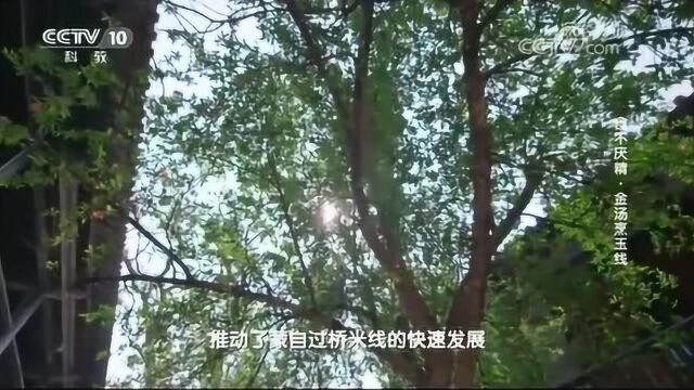 曾经繁荣的经济与市场,推动了蒙自米线的发展