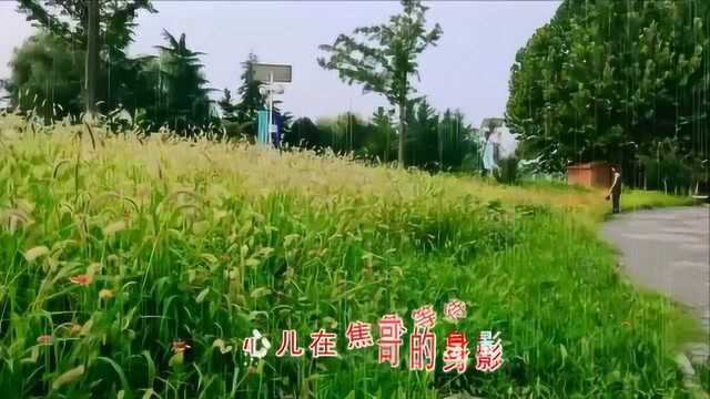 经典音乐,一首《哥哥妹妹》让人回味无穷,思念你的心