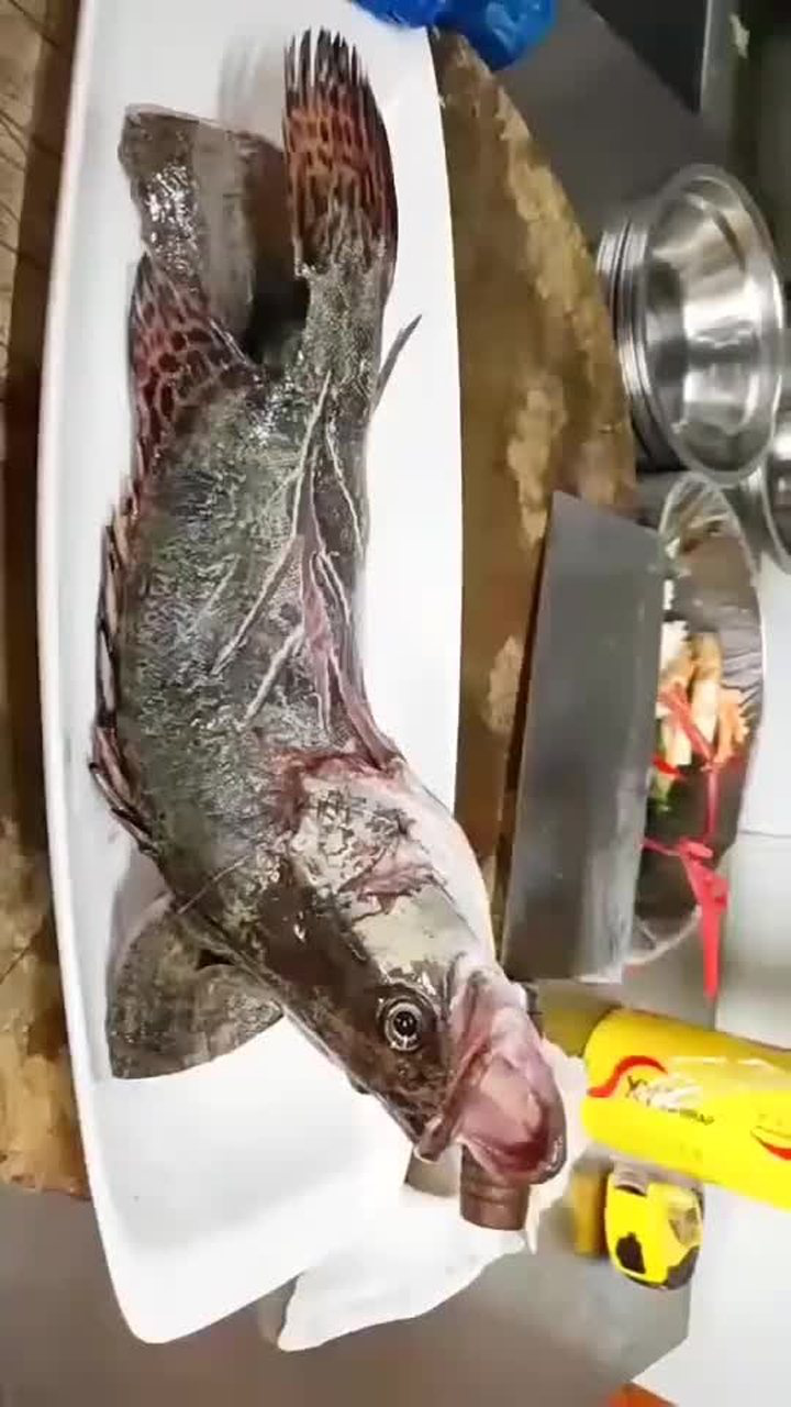 大酒店里的清蒸鱼改刀法
