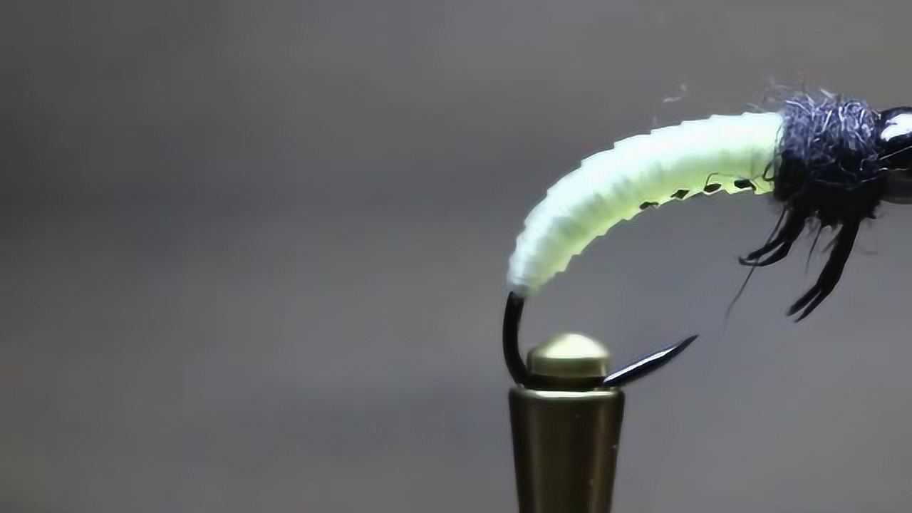 小二石蚕一枚钓鱼