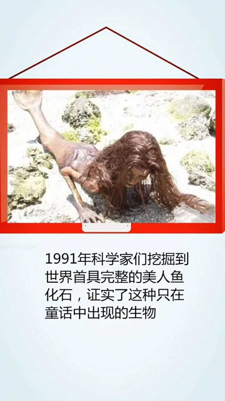 美人鱼真的存在吗图片