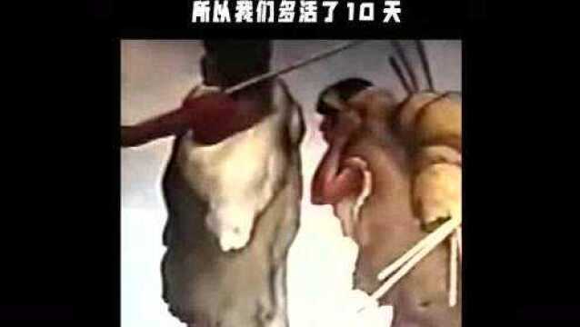 玛雅人5个预言,玛雅人的2012末日预言没有实现,究竟隐藏了什么秘密