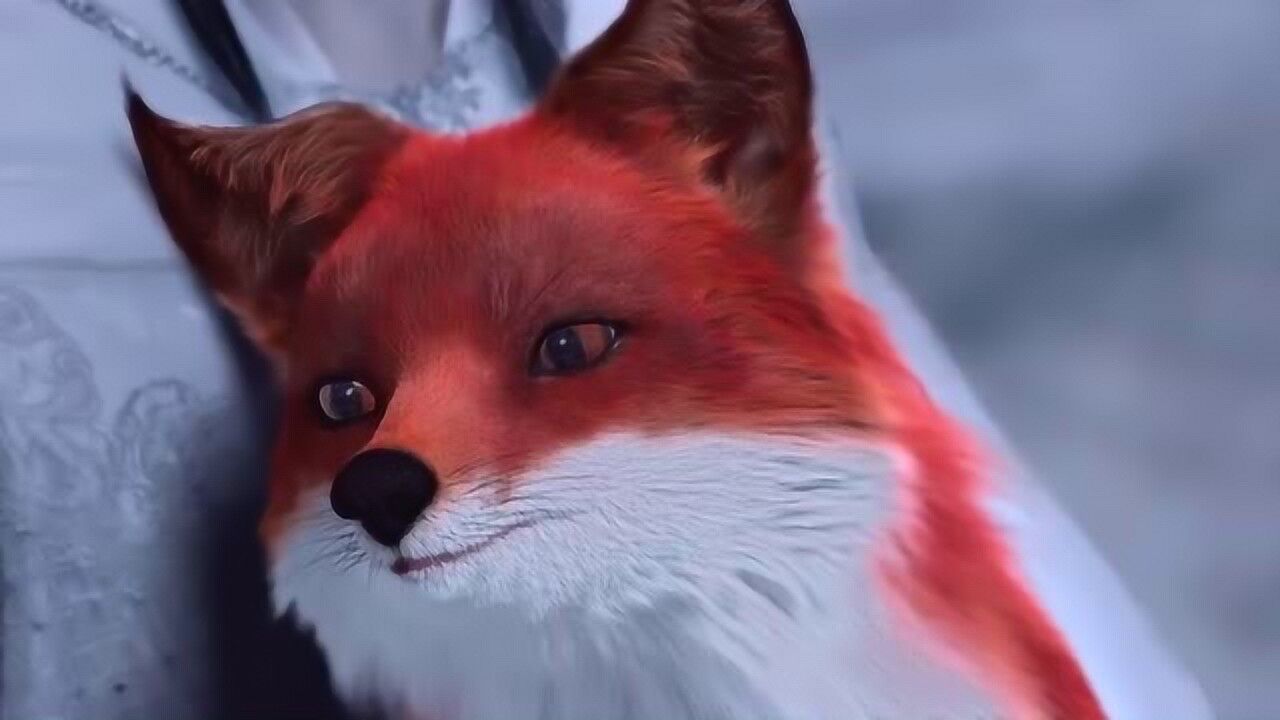 《三生三世枕上书》跟我抢小狐狸,一个时辰都不行,帝君护妻狂魔