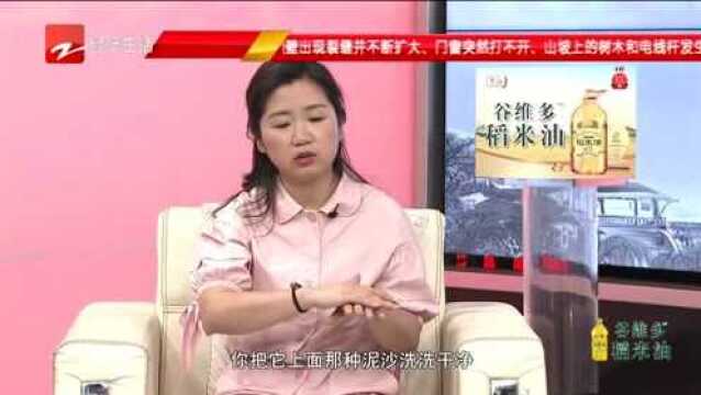 川贝枇杷如何制作?枇杷叶怎么处理呢?