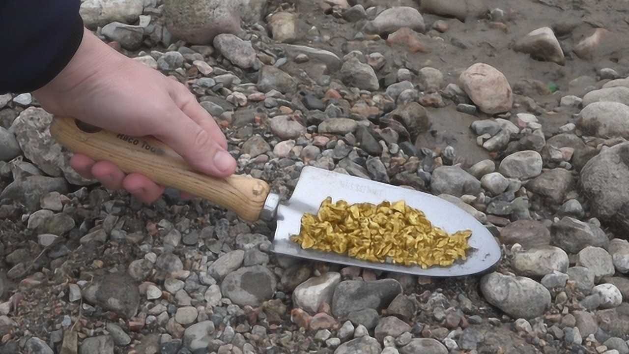 大叔野外河边淘金一铲子下全是黄金这是什么风水宝地